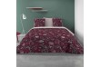 Parure de couette Coton 57 fils Phytea : Taille - 240 x 260 cm