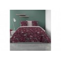 Parure de couette Coton 57 fils Phytea : Taille - 240 x 260 cm